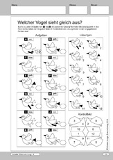 4-05 Visuelle Wahrnehmung - sieht gleich aus.pdf